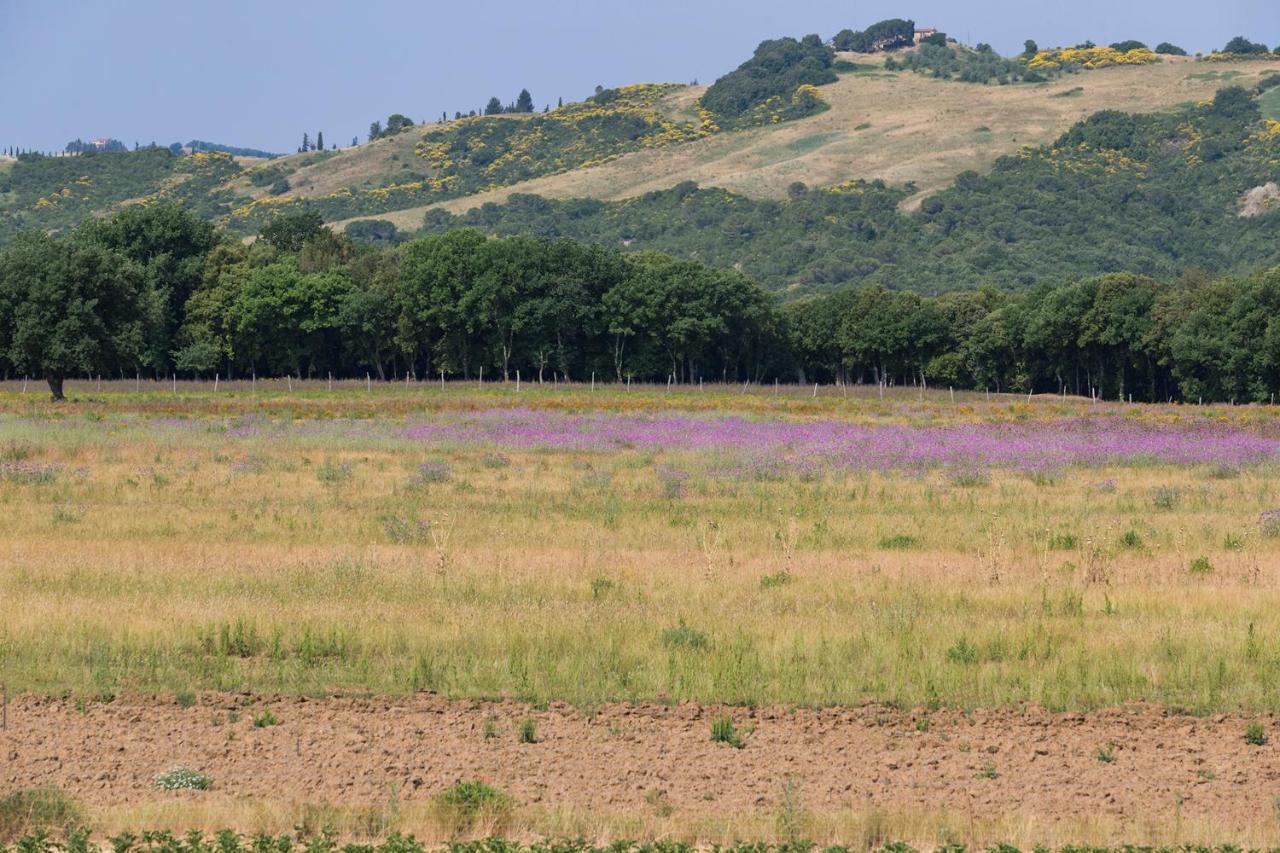Il Paradiso Di Berignone Caprareccia