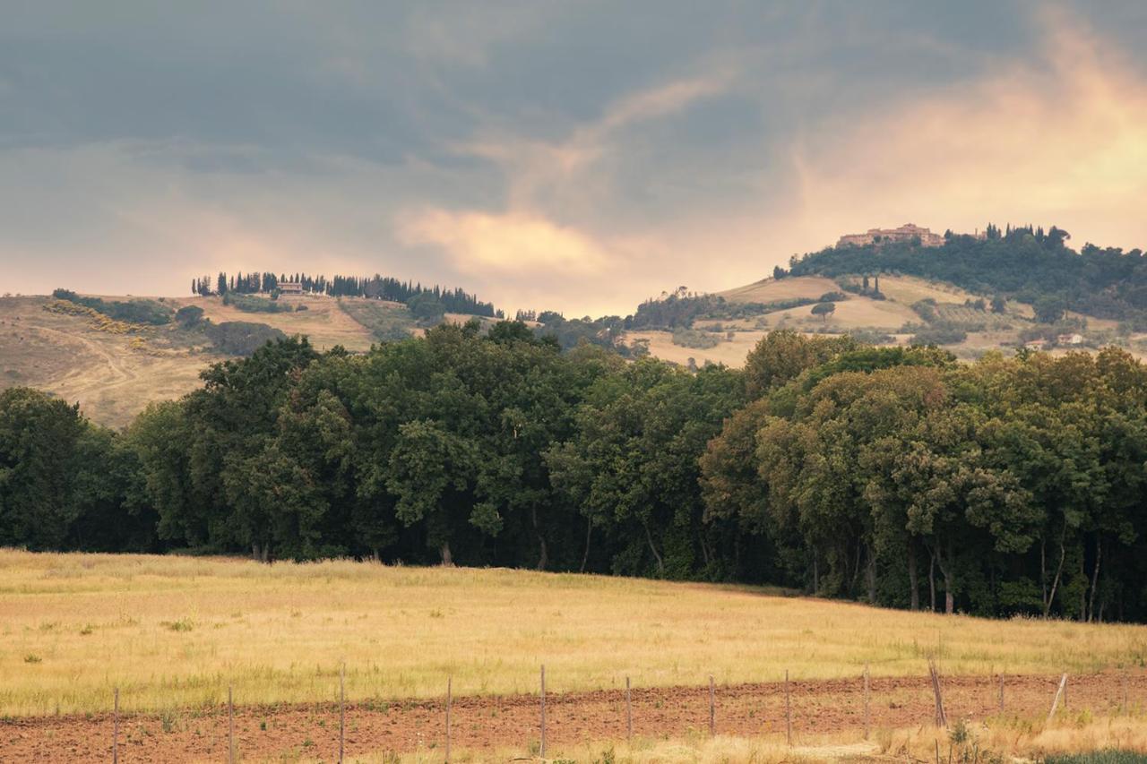 Il Paradiso Di Berignone Caprareccia